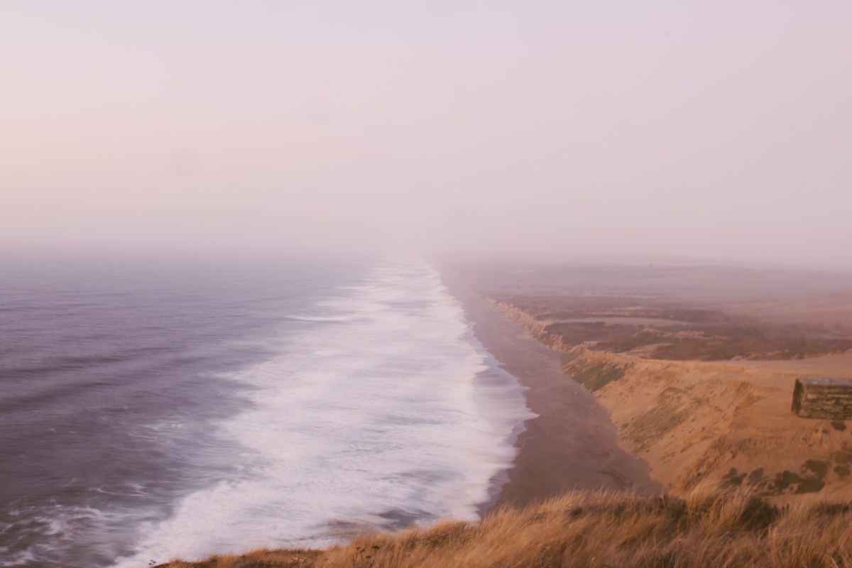 Nature’s Orchestration