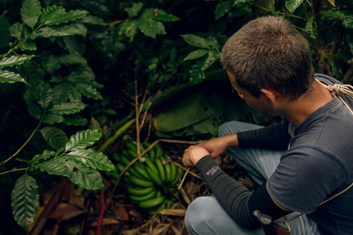 Coffee Portraits: Rafa